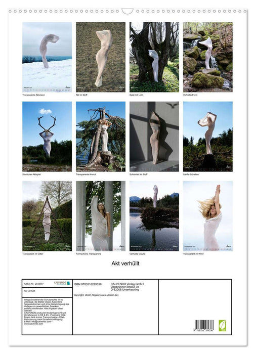 Akt verhüllt (CALVENDO Wandkalender 2026)