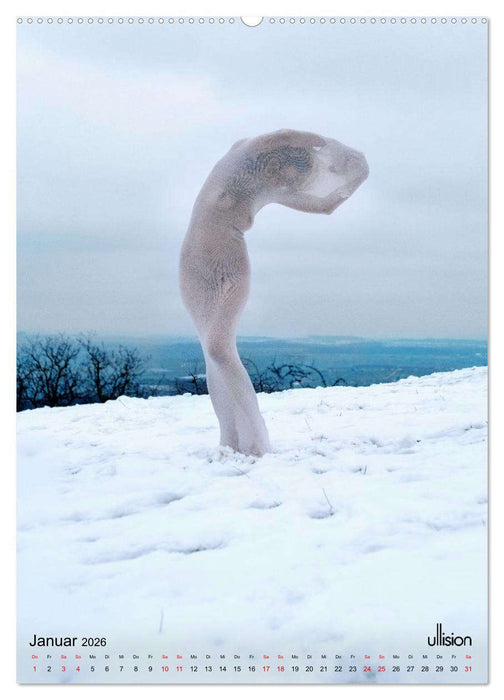 Akt verhüllt (CALVENDO Wandkalender 2026)