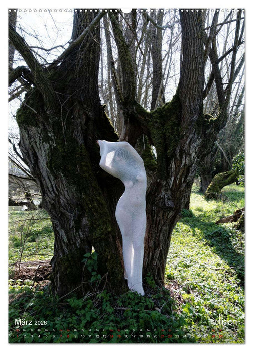 Akt verhüllt (CALVENDO Wandkalender 2026)