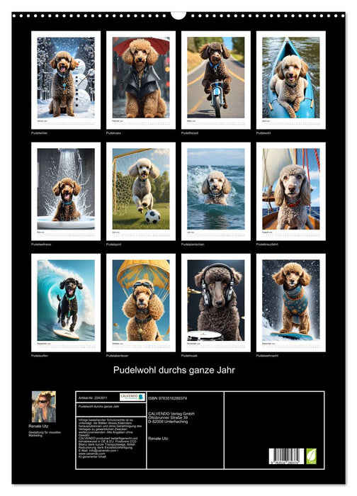 Pudelwohl durchs ganze Jahr (CALVENDO Wandkalender 2026)