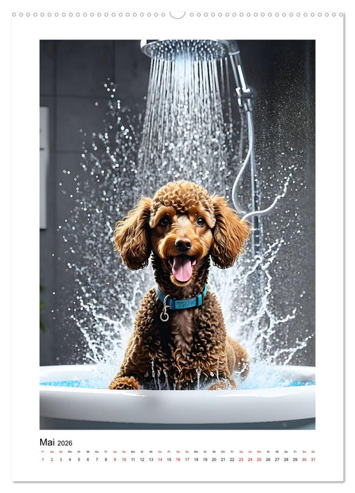Pudelwohl durchs ganze Jahr (CALVENDO Wandkalender 2026)