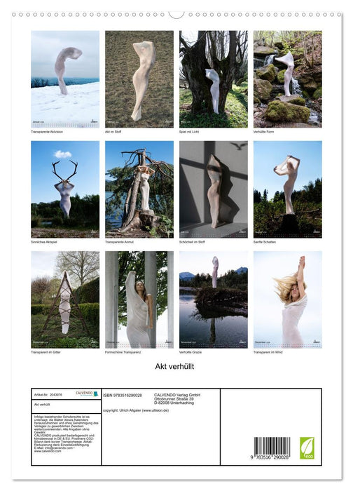 Akt verhüllt (CALVENDO Premium Wandkalender 2026)