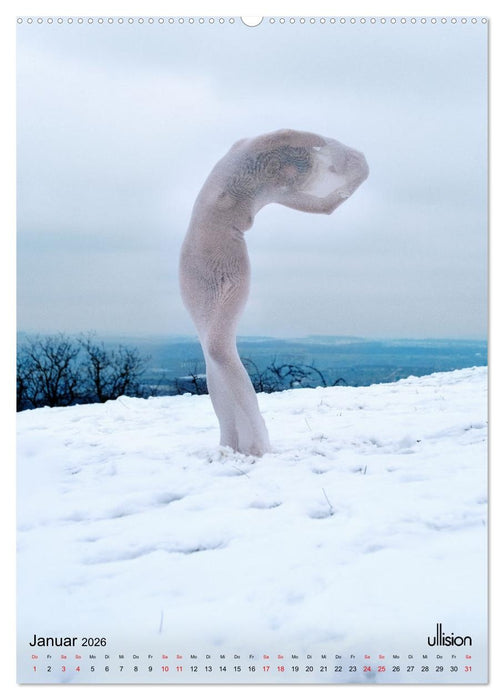 Akt verhüllt (CALVENDO Premium Wandkalender 2026)