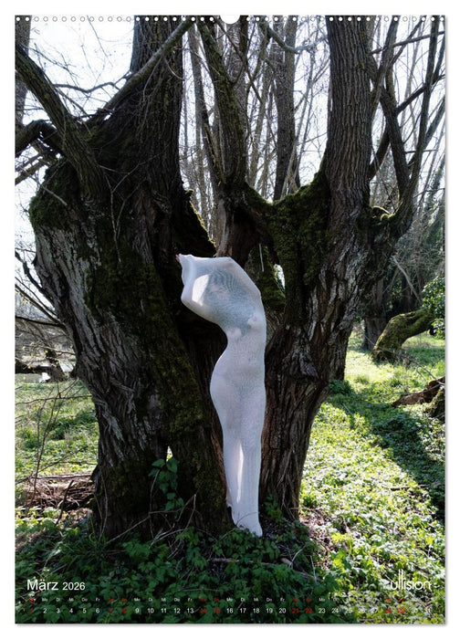 Akt verhüllt (CALVENDO Premium Wandkalender 2026)