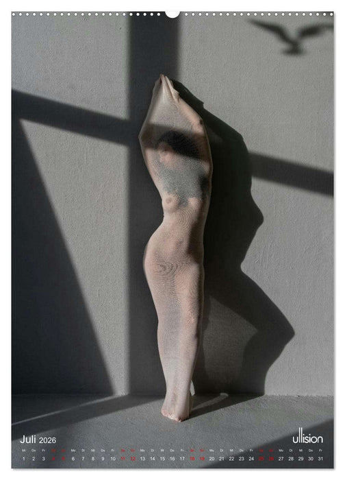 Akt verhüllt (CALVENDO Premium Wandkalender 2026)