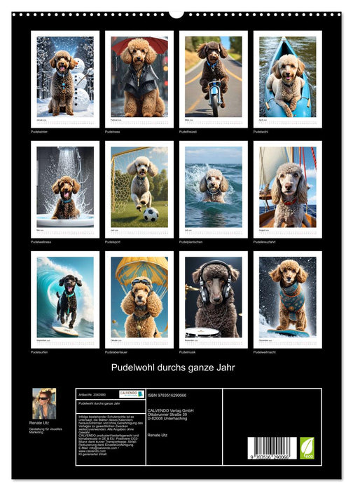 Pudelwohl durchs ganze Jahr (CALVENDO Premium Wandkalender 2026)