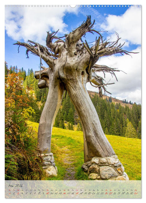 Großarl & Hüttschlag (CALVENDO Wandkalender 2026)