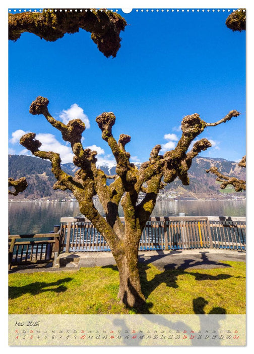 Rund um Zell am See (CALVENDO Premium Wandkalender 2026)