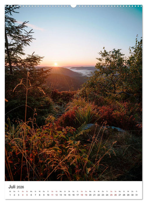 Naturschönheiten in Deutschland (CALVENDO Premium Wandkalender 2026)