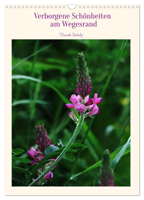 Verborgene Schönheiten am Wegesrand (CALVENDO Wandkalender 2026)
