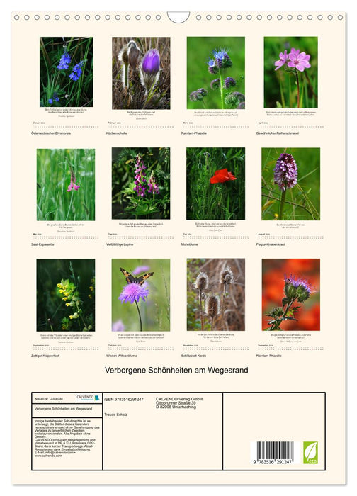 Verborgene Schönheiten am Wegesrand (CALVENDO Wandkalender 2026)