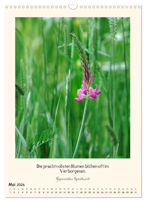 Verborgene Schönheiten am Wegesrand (CALVENDO Wandkalender 2026)