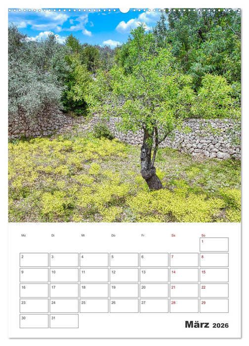 Mallorca - Traumhafte Insel auf der Sonnenseite (CALVENDO Premium Wandkalender 2026)