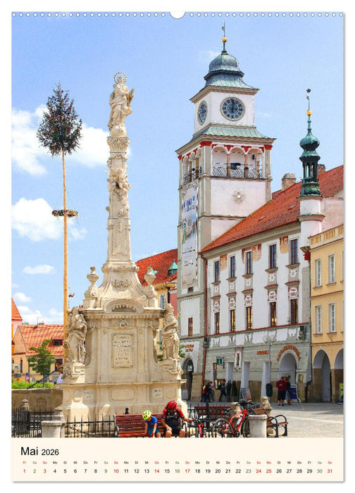 Pestsäulen und Mariensäulen in Tschechien (CALVENDO Premium Wandkalender 2026)
