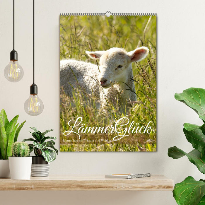 Lämmerglück (CALVENDO Wandkalender 2026)