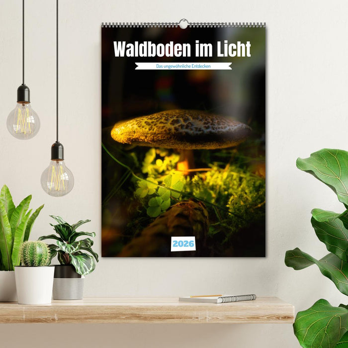 Waldboden im Licht (CALVENDO Wandkalender 2026)
