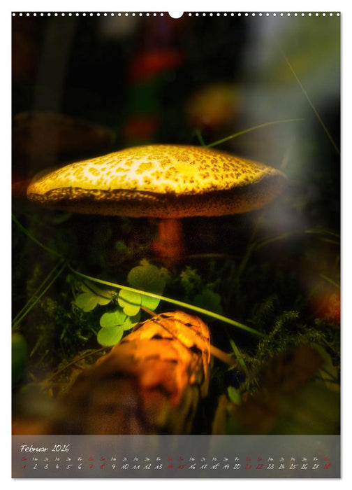 Waldboden im Licht (CALVENDO Wandkalender 2026)