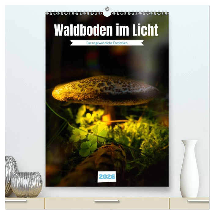 Waldboden im Licht (CALVENDO Premium Wandkalender 2026)