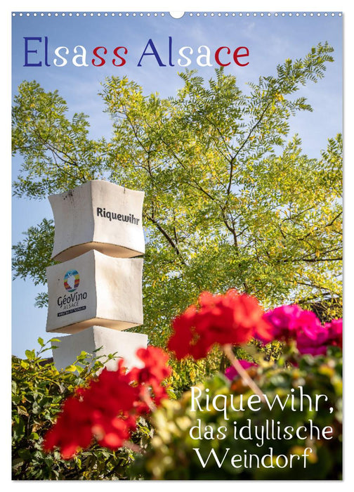 Elsass Alsace Riquewihr, das idyllische Weindorf (CALVENDO Wandkalender 2026)