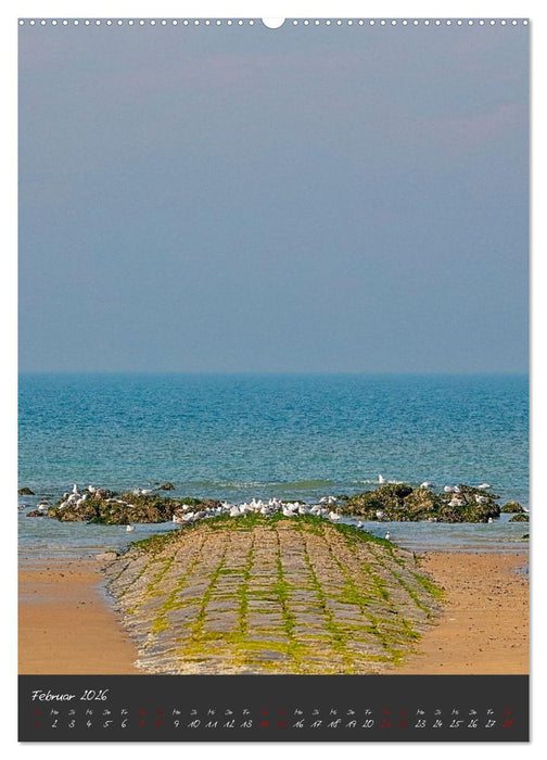 Grafschaft Flandern (CALVENDO Premium Wandkalender 2026)