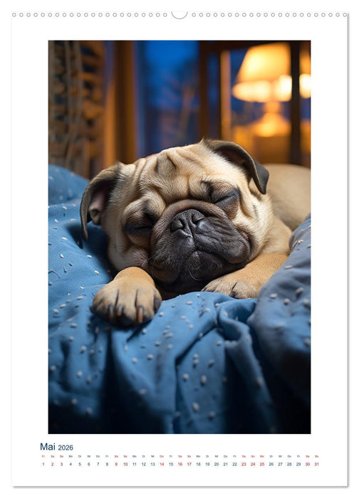 Der kleine Mops (CALVENDO Wandkalender 2026)