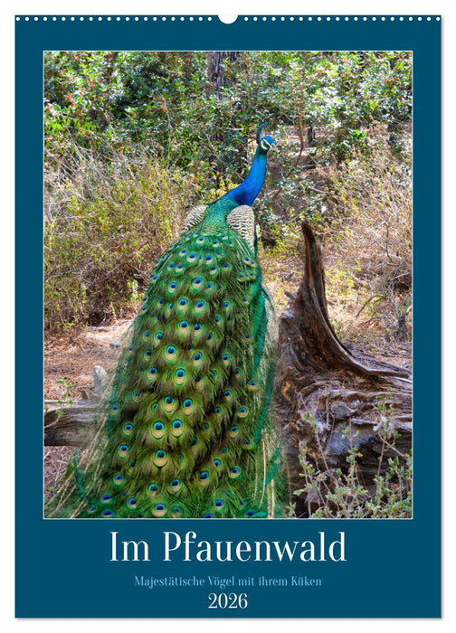 Im Pfauenwald (CALVENDO Wandkalender 2026)