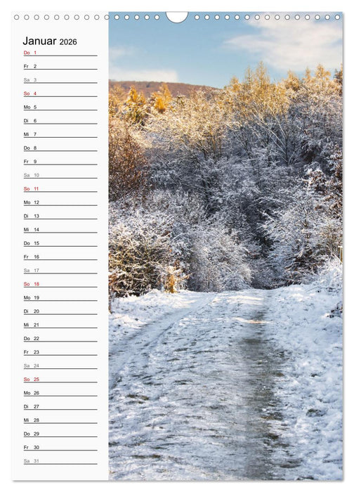 Nieste, Kleinod am Kaufunger Wald (CALVENDO Wandkalender 2026)