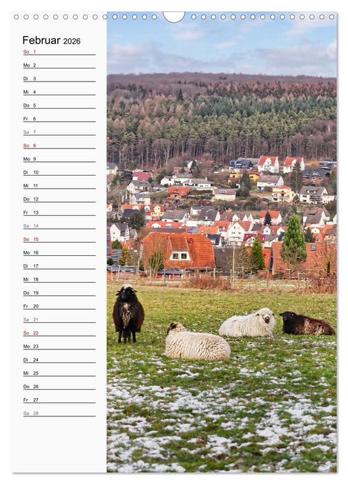 Nieste, Kleinod am Kaufunger Wald (CALVENDO Wandkalender 2026)