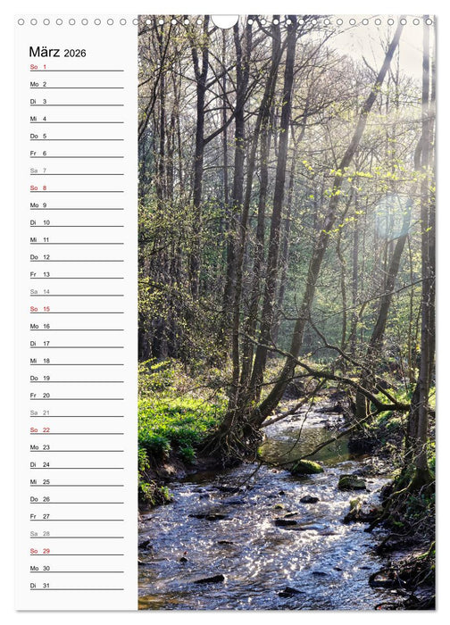 Nieste, Kleinod am Kaufunger Wald (CALVENDO Wandkalender 2026)