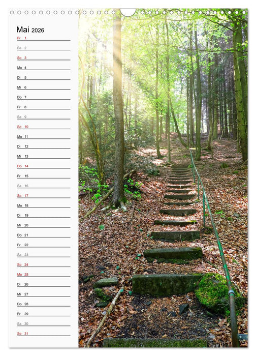 Nieste, Kleinod am Kaufunger Wald (CALVENDO Wandkalender 2026)