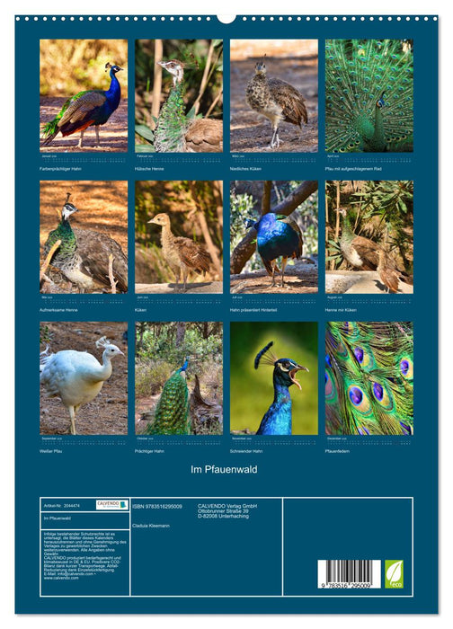 Im Pfauenwald (CALVENDO Premium Wandkalender 2026)