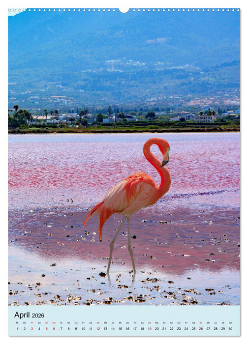 Drei-Insel-Tour (CALVENDO Premium Wandkalender 2026)