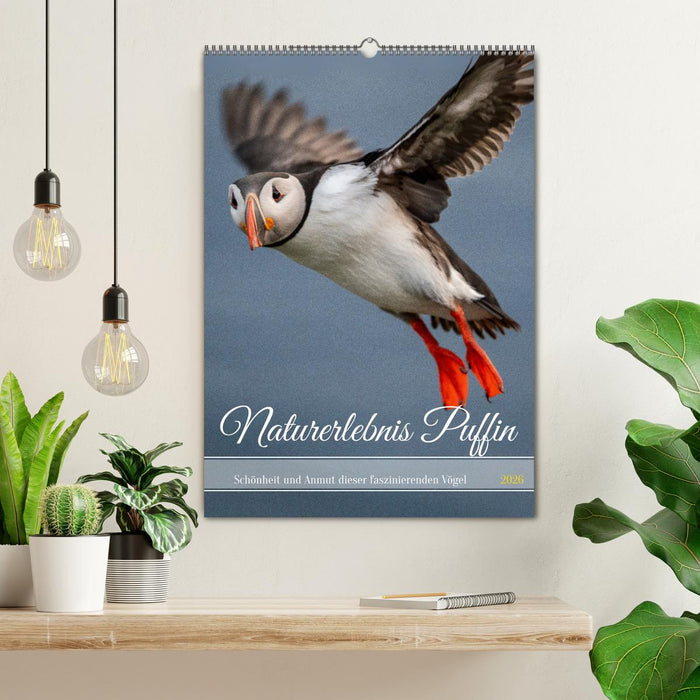 Naturerlebnis Puffin (CALVENDO Wandkalender 2026)