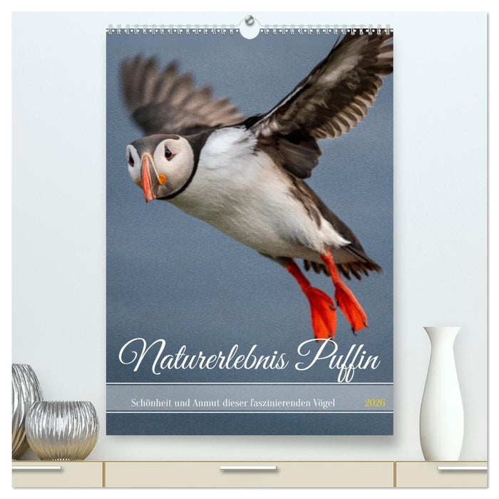 Naturerlebnis Puffin (CALVENDO Premium Wandkalender 2026)