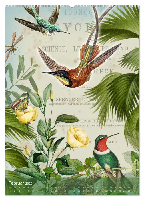 Gefiederte Dschungelfreunde (CALVENDO Wandkalender 2026)