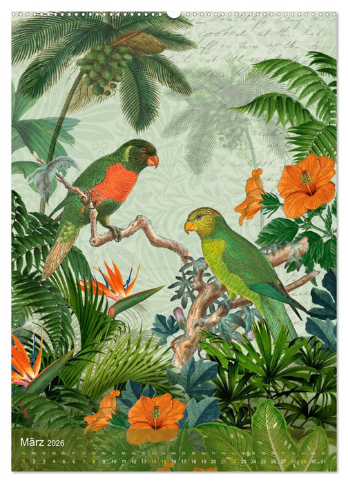 Gefiederte Dschungelfreunde (CALVENDO Wandkalender 2026)