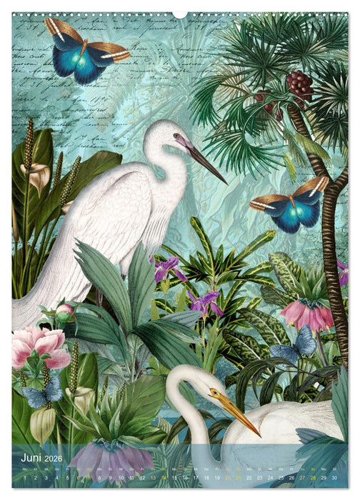 Gefiederte Dschungelfreunde (CALVENDO Wandkalender 2026)