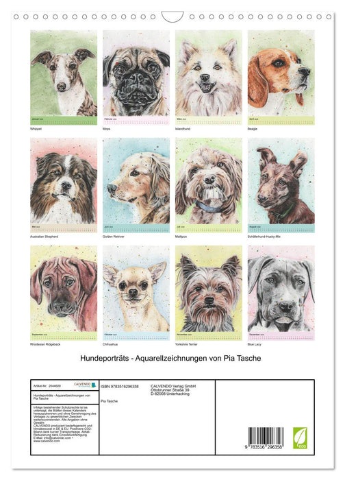 Hundeporträts - Aquarellzeichnungen von Pia Tasche (CALVENDO Wandkalender 2026)