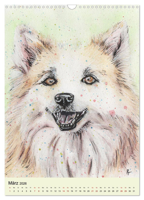 Hundeporträts - Aquarellzeichnungen von Pia Tasche (CALVENDO Wandkalender 2026)