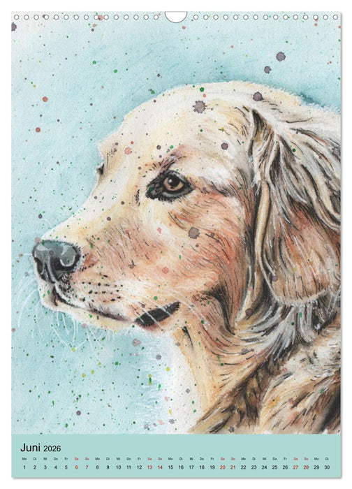 Hundeporträts - Aquarellzeichnungen von Pia Tasche (CALVENDO Wandkalender 2026)