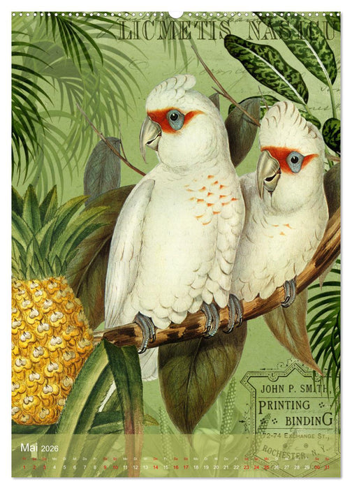 Gefiederte Dschungelfreunde (CALVENDO Premium Wandkalender 2026)