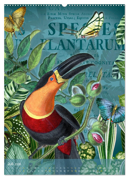 Gefiederte Dschungelfreunde (CALVENDO Premium Wandkalender 2026)