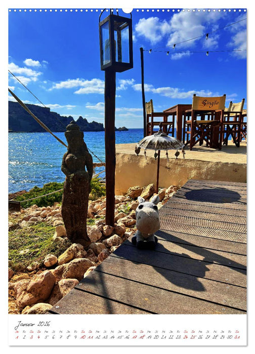 Schorschi auf Reisen ein kleiner Esel unterwegs auf der Insel Malta (CALVENDO Premium Wandkalender 2026)