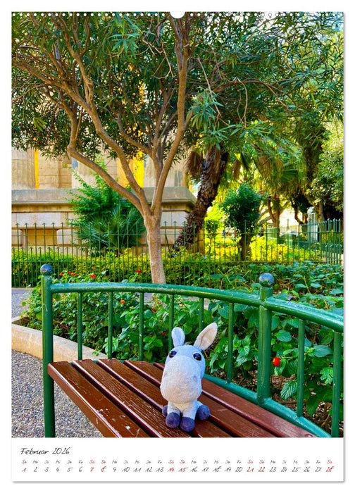 Schorschi auf Reisen ein kleiner Esel unterwegs auf der Insel Malta (CALVENDO Premium Wandkalender 2026)