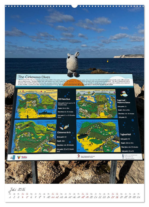 Schorschi auf Reisen ein kleiner Esel unterwegs auf der Insel Malta (CALVENDO Premium Wandkalender 2026)