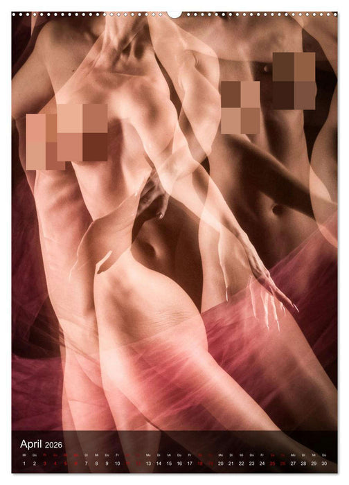 Sanfte Momente (CALVENDO Wandkalender 2026)