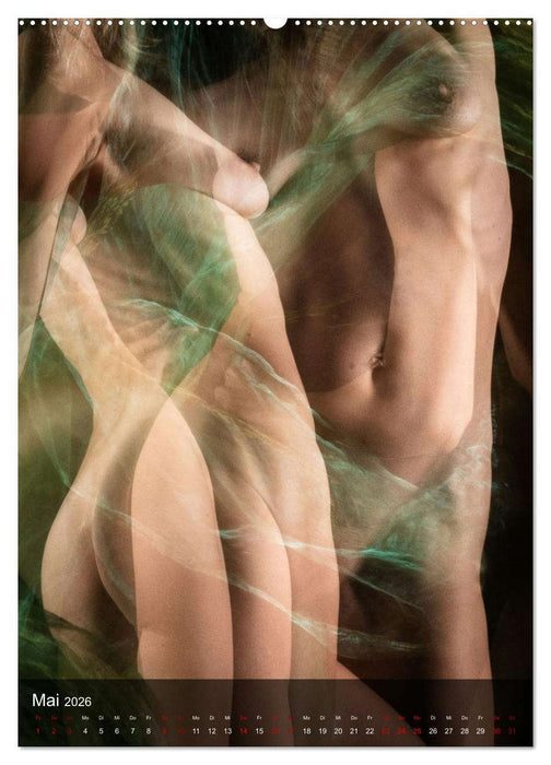 Sanfte Momente (CALVENDO Wandkalender 2026)