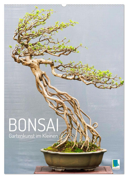 Bonsai: Gartenkunst im Kleinen (CALVENDO Wandkalender 2026)