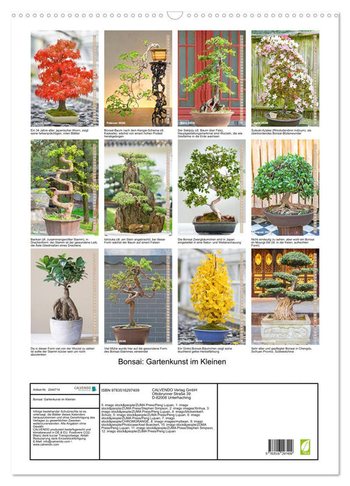 Bonsai: Gartenkunst im Kleinen (CALVENDO Wandkalender 2026)