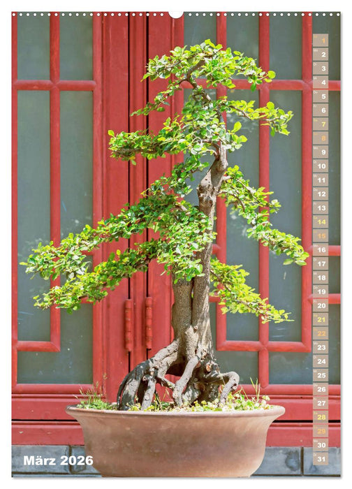 Bonsai: Gartenkunst im Kleinen (CALVENDO Wandkalender 2026)